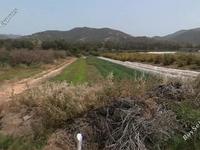 studio commercial building for sale gialia paphos 8625042 image 15837400