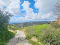 land for sale koili paphos 8397342 image 14824189