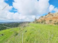 land for sale koili paphos 8397342 image 14824190