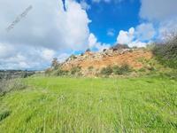 land for sale koili paphos 8397342 image 14824191