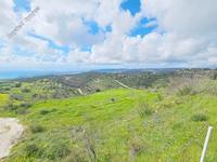 land for sale koili paphos 8397342 image 14824192