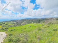 land for sale koili paphos 8397342 image 14824193