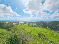 land for sale koili paphos 8397342 image 14824194