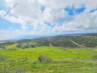 land for sale koili paphos 8397342 image 14824195