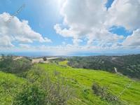 land for sale koili paphos 8397342 image 14824196