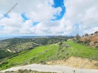 land for sale koili paphos 8397342 image 14824197