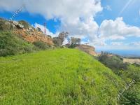 land for sale koili paphos 8397342 image 14824198