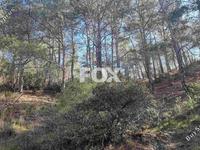 land for sale moniatis limassol 1325342 image 16964232