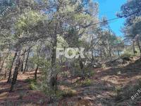 land for sale moniatis limassol 1325342 image 16964281