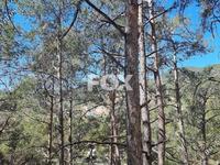 land for sale moniatis limassol 1325342 image 16964307