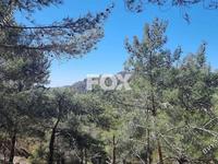 land for sale moniatis limassol 1325342 image 16964314
