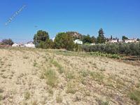 land for sale pera orinis nicosia 946152 image 3389663