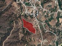 land for sale korakou nicosia 946352 image 3002738