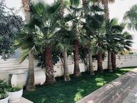 5 bedroom detached house for sale agios tychonas limassol 794862 image 640501