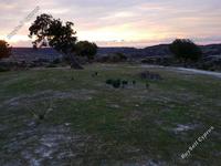land for sale pissouri limassol 8897082 image 17341959 land for sale pissouri limassol 8897082 image 17341959