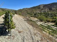 land for sale agios georgios silikou limassol 1924892 image 17373487 land for sale agios georgios silikou limassol 1924892 image 17373487