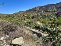 land for sale agios georgios silikou limassol 1924892 image 17373489 land for sale agios georgios silikou limassol 1924892 image 17373489