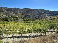 land for sale agios georgios silikou limassol 1924892 image 17789390 land for sale agios georgios silikou limassol 1924892 image 17789390