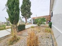 4 bedroom bungalow for sale anarita paphos 7937103 image 11292469