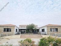 4 bedroom bungalow for sale anarita paphos 7937103 image 11292473