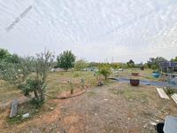 4 bedroom bungalow for sale anarita paphos 7937103 image 11292479