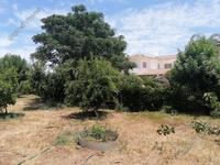 6 bedroom detached house for sale kato lakatamia nicosia 1073103 image 16246438