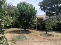 6 bedroom detached house for sale kato lakatamia nicosia 1073103 image 16246439
