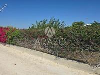 land for sale aradippou larnaca 8839023 image 17139674 land for sale aradippou larnaca 8839023 image 17139674