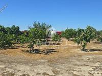 land for sale aradippou larnaca 8839023 image 17139675 land for sale aradippou larnaca 8839023 image 17139675