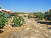 land for sale aradippou larnaca 8839023 image 17139676 land for sale aradippou larnaca 8839023 image 17139676