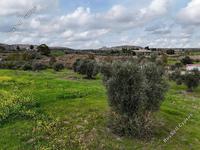 land for sale analiontas nicosia 944523 image 3005361 land for sale analiontas nicosia 944523 image 3005361