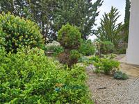 3 bedroom detached house for sale tsada paphos 8587533 image 17194203