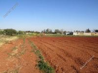 land for sale avgorou famagusta 8828833 image 16992602 land for sale avgorou famagusta 8828833 image 16992602