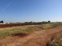 land for sale avgorou famagusta 8828833 image 16992603 land for sale avgorou famagusta 8828833 image 16992603