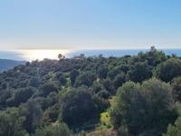 4 bedroom detached house for sale secret valley paphos 8629043 image 16028539