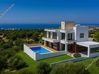 4 bedroom detached house for sale secret valley paphos 8629043 image 16028572