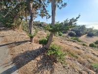 land for sale nea dimmata paphos 8957043 image 17771820 land for sale nea dimmata paphos 8957043 image 17771820