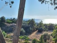 land for sale nea dimmata paphos 8957043 image 17771821 land for sale nea dimmata paphos 8957043 image 17771821