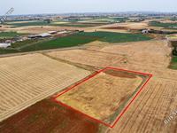 land for sale avgorou famagusta 1850353 image 6682475