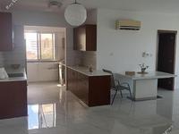 2 bedroom apartment for rent agios spyridonas limassol 8839453 image 17145703