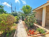 3 bedroom detached house for sale saint george peyia paphos 1091653 image 1310163