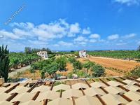 3 bedroom detached house for sale saint george peyia paphos 1091653 image 1310205