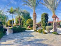 3 bedroom detached house for sale peyia paphos 7633363 image 9854494
