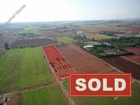 land sold avgorou famagusta 1262863 image 9883356 land sold avgorou famagusta 1262863 image 9883356