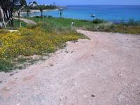 land for sale protaras famagusta 232683 image 282449