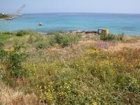land for sale protaras famagusta 232683 image 282451
