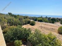 studio hotel for sale kissonerga paphos 8395704 image 16046777