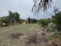 land for sale ora larnaca 1924904 image 15992234 land for sale ora larnaca 1924904 image 15992234