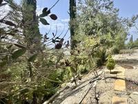 5 bedroom detached house for sale tala paphos 8537814 image 18202952