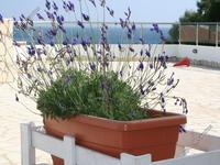 4 bedroom detached house for sale cape greko famagusta 8511044 image 15375285
